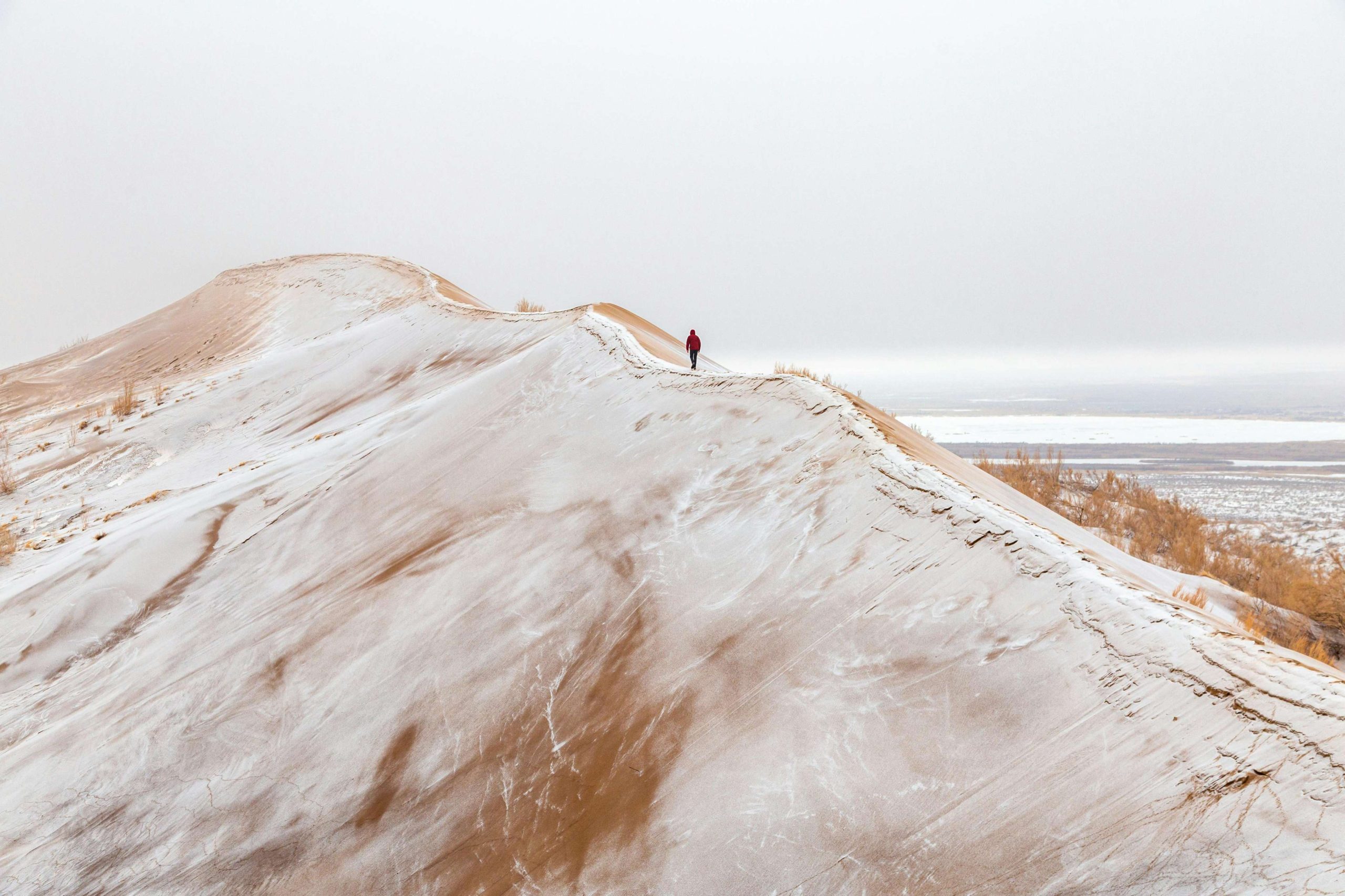 Evolutionary Mismatch: Why Our Minds Aren’t Fit For Modern Life